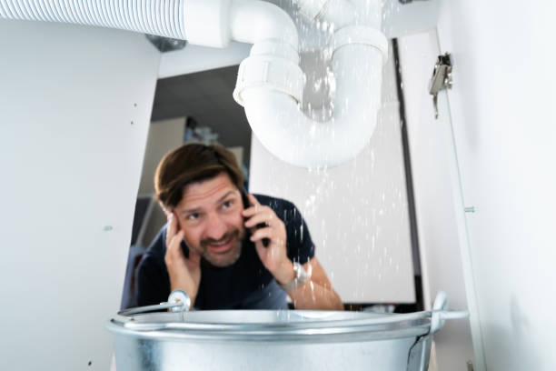 Best Water Leak Repair  in South Williamsport, PA