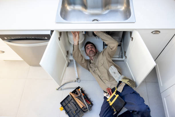 Best Plumbing Inspection Services  in South Williamsport, PA