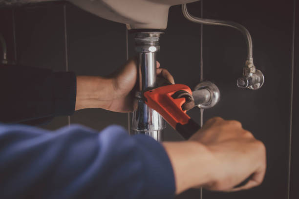 Best Clogged Drain Plumber  in South Williamsport, PA